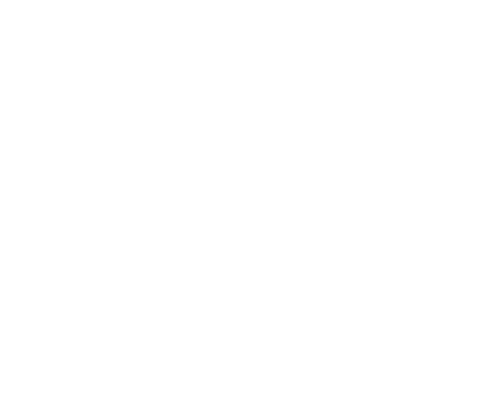 SecurKart(tm) Logo